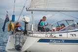 widgeon ix of horne whyw17 mon gjmc 6844